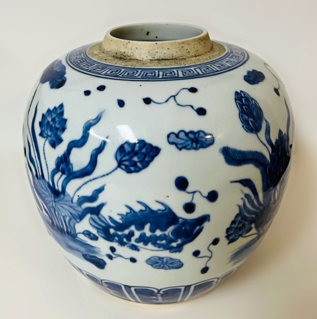 ANTIQUE CHINESE QING KANGXI PERIOD BLUE AND WHITE FISH AND AQUATIC PLANT JAR